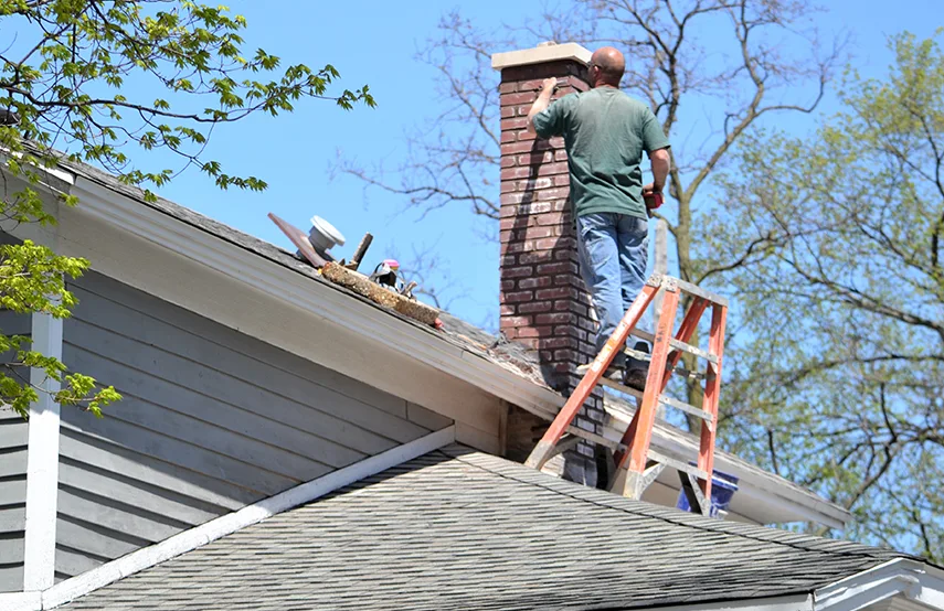 Chimney & Fireplace Inspections Services in Winchester, VA
